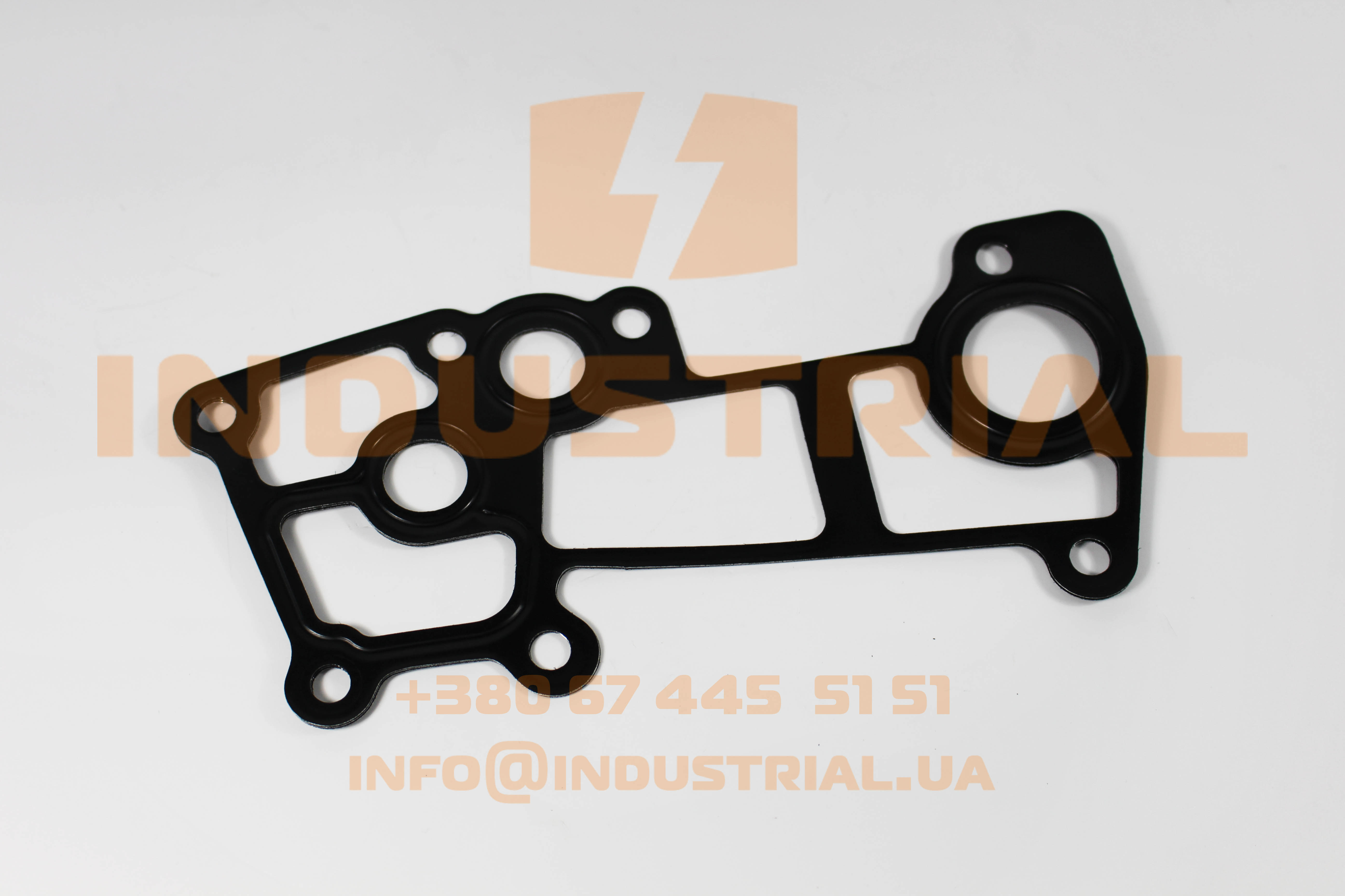 LEM 0211866 LEMA